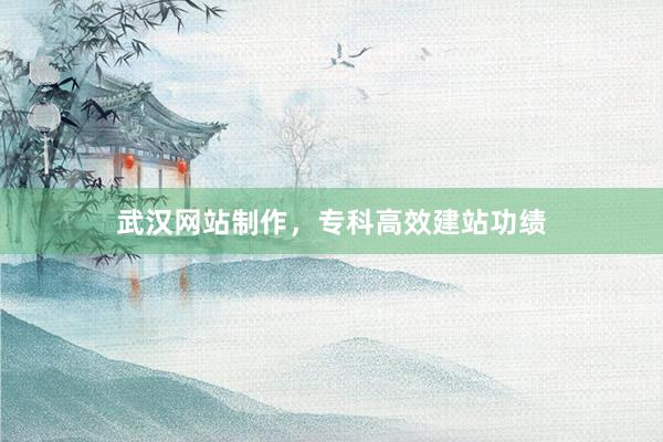 武汉网站制作，专科高效建站功绩