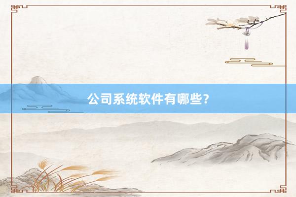 公司系统软件有哪些？