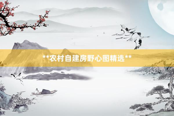 **农村自建房野心图精选**