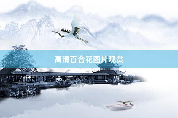 高清百合花图片观赏