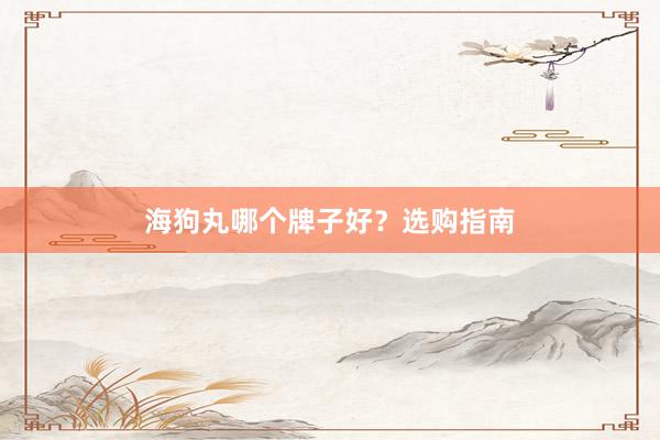 海狗丸哪个牌子好？选购指南